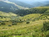 Дмитрий Плотников фотография #31 (источник - https://vk.com/id78274801)