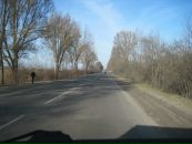 Роман Дзіговський фотография #34 (источник - https://vk.com/id27964920)