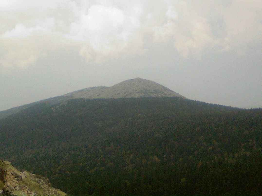 Сергей Козлов фотография #7