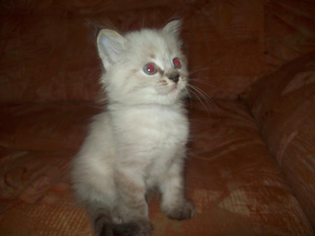 Оля Ткаченко фотография #30