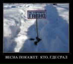 Дмитрий Зацепин фотография #49 (источник - https://vk.com/id2664635)