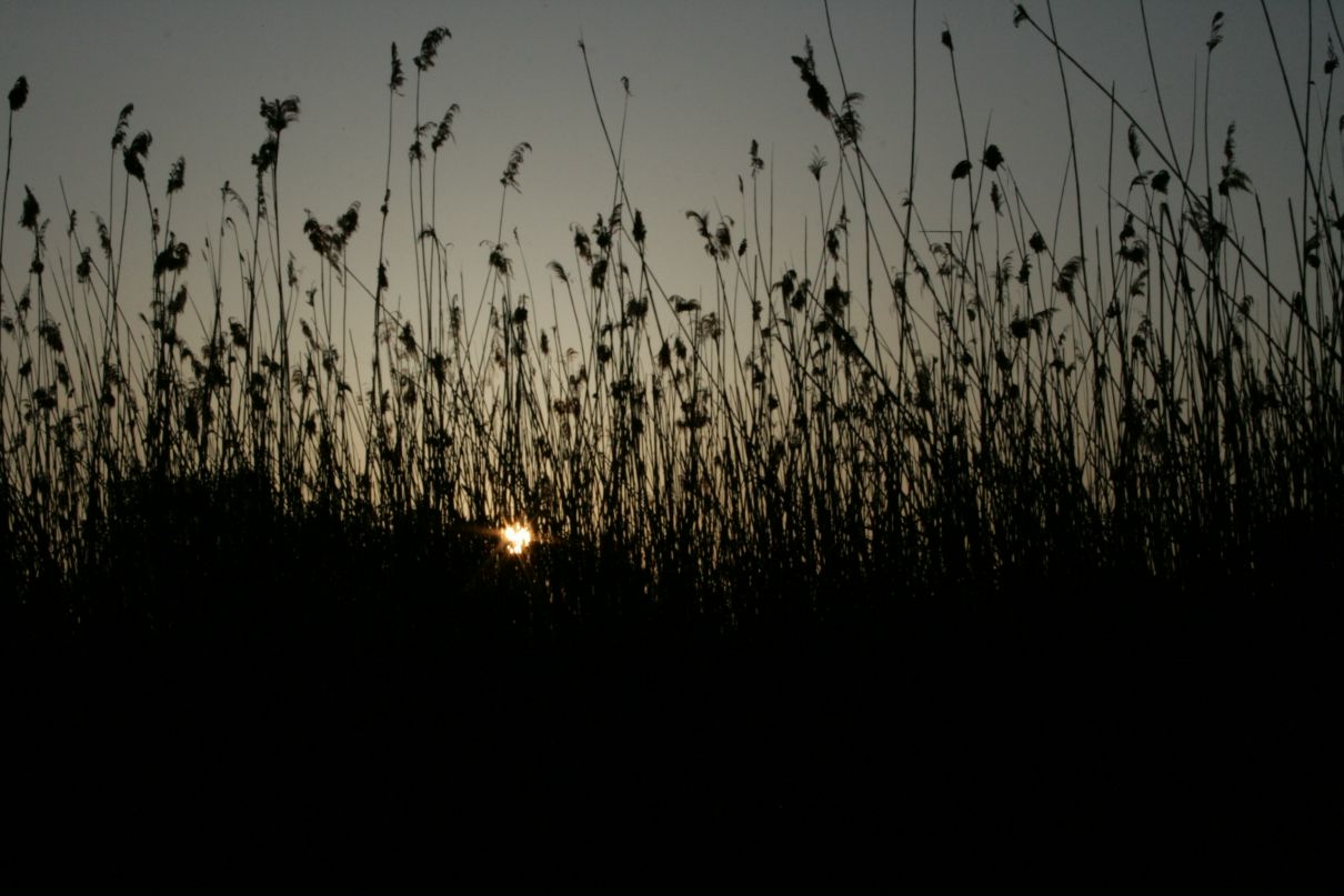Борис Елисеев фотография #11