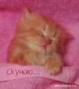 Ірина Кремінська фотография #39 (источник - https://vk.com/id136586917)
