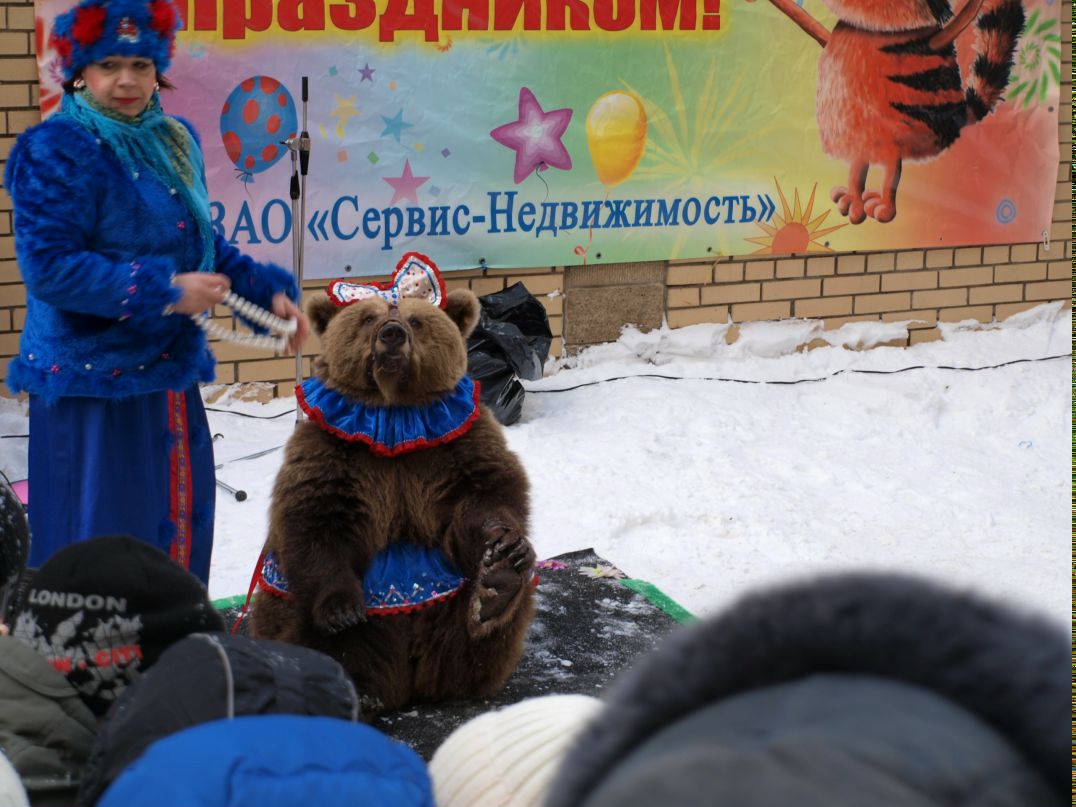 Антон Сергееев фотография #18