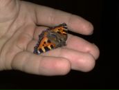 Фотография Пермякова Сергея