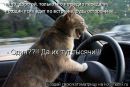 Іван Рева фотография #44 (источник - https://vk.com/id135870454)