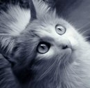 Таня Дзеньків фотография #46 (источник - https://vk.com/id161377790)