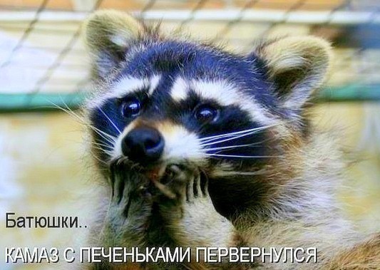 №6, Серёжка Ишутин, 38 лет, Брянск №6, Серёжка Ишутин, 38 лет, Брянск