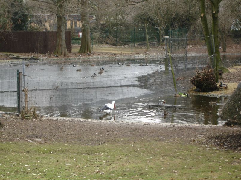 Ирина Лукс фотография #48