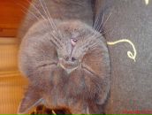 Фотография Пинегиной Екатерины