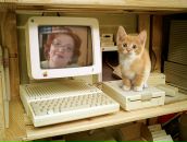 Фотография Прямиковой Елены