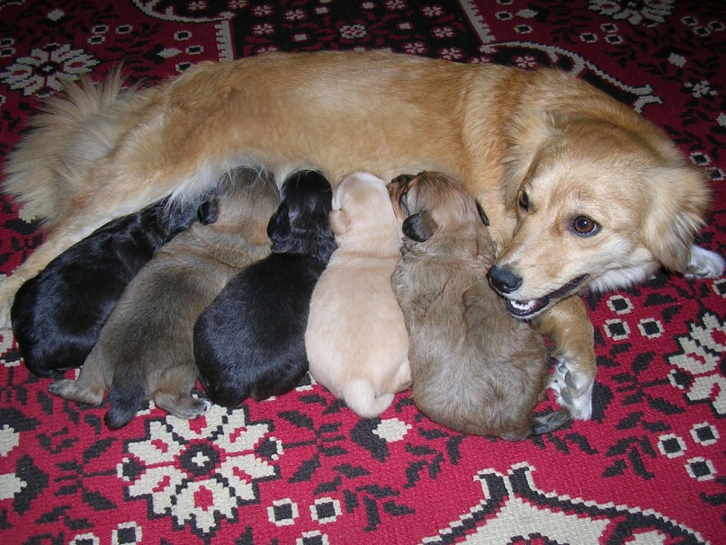 Дмитрий Бурлаков фотография #14