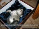 Андруся:)) Лозинська фотография #6 (источник - https://vk.com/id121655750)