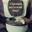 Фотография Богданов Сергей