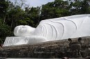 Barbara Buzyacho фотография #39 (источник - https://vk.com/id1168032)