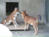 Маруся Горина фотография #44 (источник - https://vk.com/id155172)