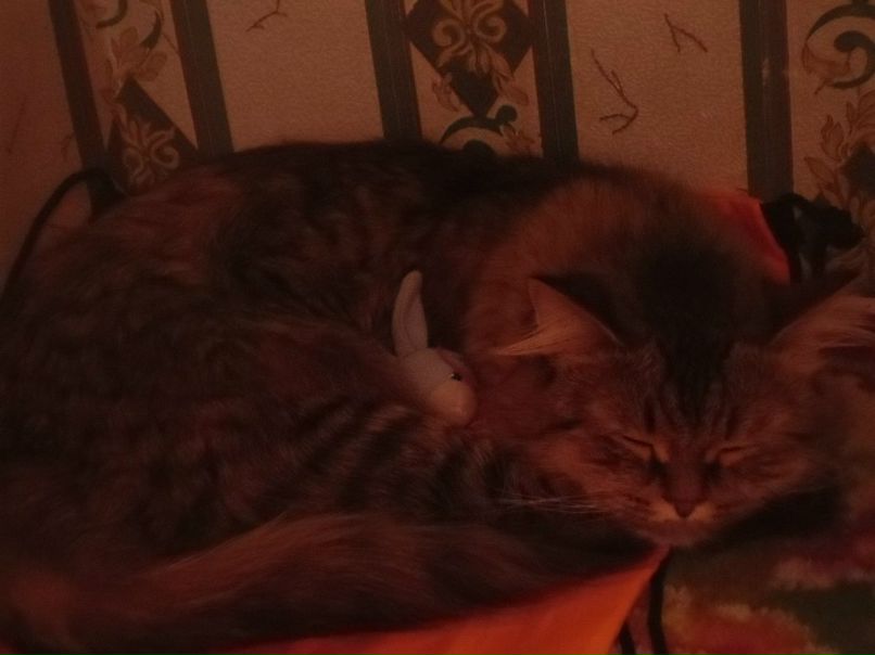 Женя Дмитриев фотография #11