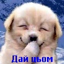 Іра Андрусишин фотография #13 (источник - https://vk.com/id96071568)