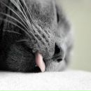 Анна Валеева фотография #6 (источник - https://vk.com/id9142652)