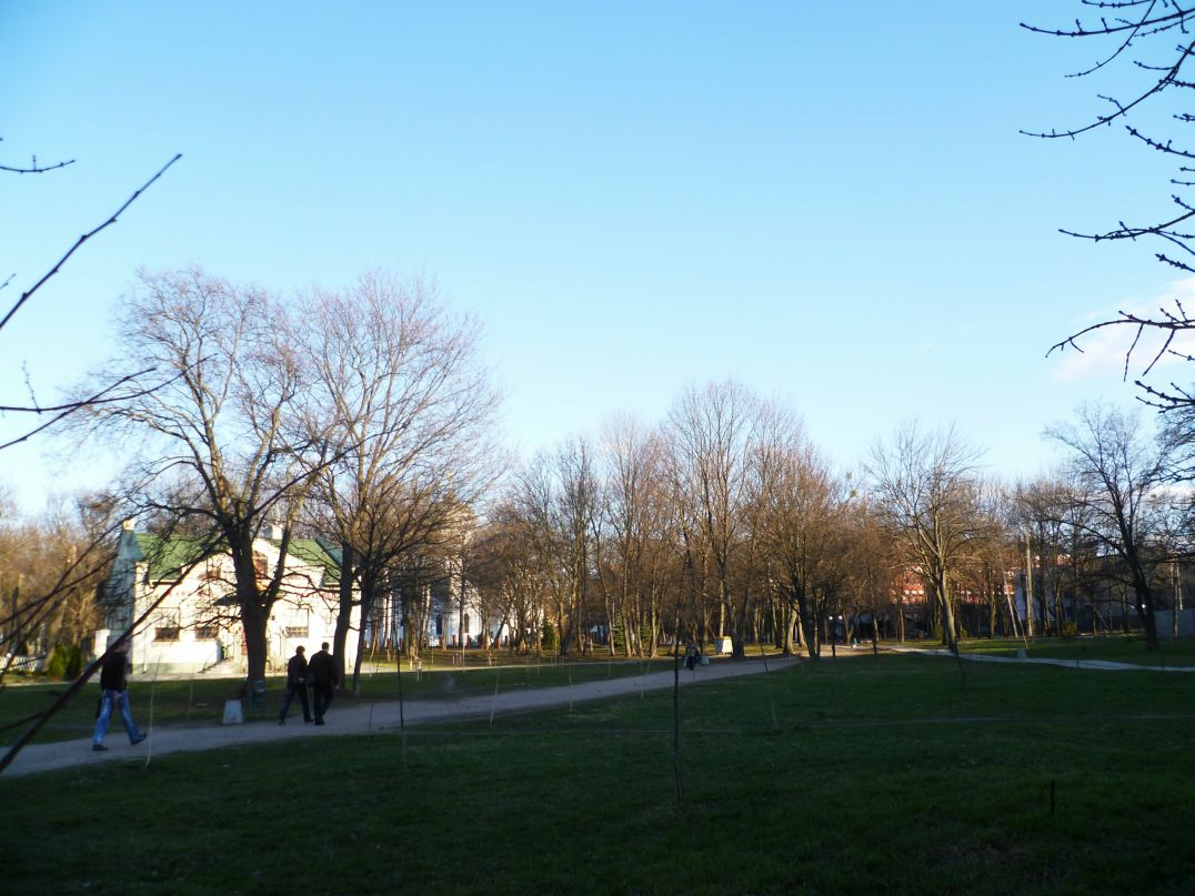 Dragon Fly фотография #6