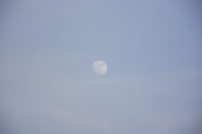 Рустам Икрамов фотография #18