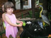 Марія Шван фотография #20 (источник - https://vk.com/id38817632)