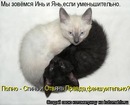 Юлія Казмірук фотография #10 (источник - https://vk.com/id103252082)
