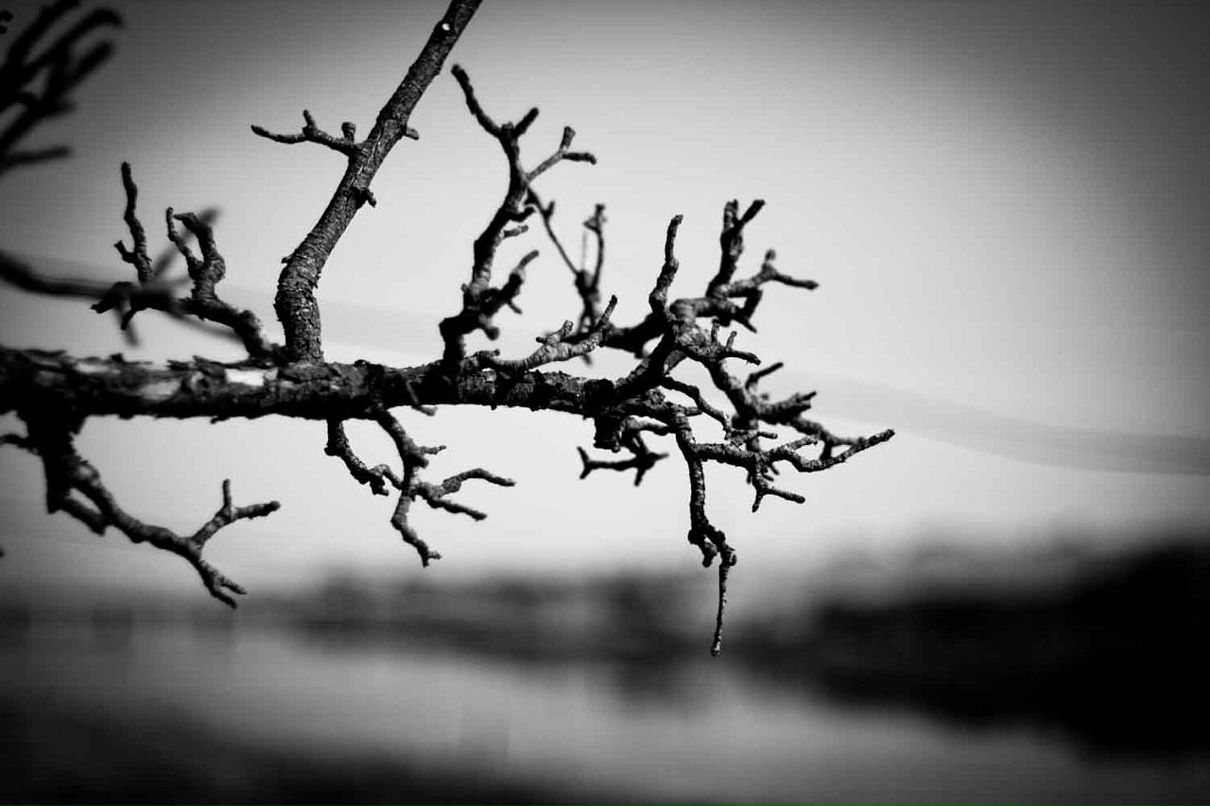 Дмитрий Быков фотография #36