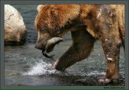 Фотография Медведева Анна