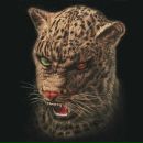 Фотография Вальтера Владислава