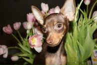 Фотография Семеновой Ирины