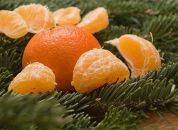 Фотография Смирновой Анастасии