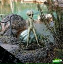 Фотография Сиухина Константина