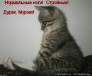 Яночка Совік фотография #12 (источник - https://vk.com/id162577152)