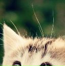 Марія Козак фотография #9 (источник - https://vk.com/id148871802)