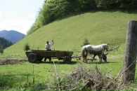 Дашка Мушка фотография #35 (источник - https://vk.com/id1863252)