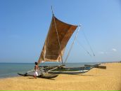 Фотография Budarina Ksenia