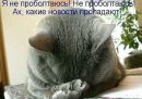 Фотография Kropivnitskai Natali