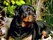 Фотография Красильниковой Ольги