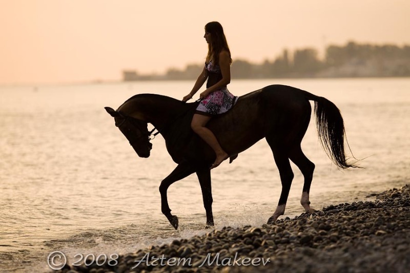 Софья Стефанчина фотография #1