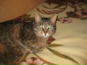 Фотография Дорофеевой Екатерины