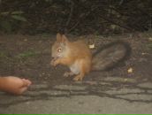 Сергей Романов фотография #26 (источник - https://vk.com/id3373761)