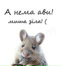 Софія Малик фотография #28 (источник - https://vk.com/id170270762)