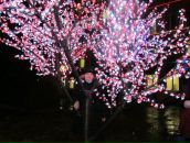 Фотография Григорьевой Юлии